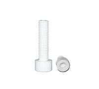 M3 M4 M5 M6 M8 M10 5mm-60mm Length Anti-Corrosion PP Polypropylene Plastic Inner Hex Hexagon Socket Head Cap Bolt(50MM_M6 10PCS)