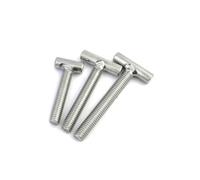 M4-M16 304 Stainless Steel T Shape Type Welding Screws Nail Bolts Hammer Head Screw For Chute Rail Miter Track(M10 (1pcs),80mm)