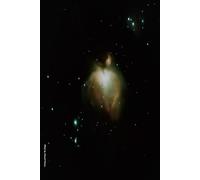 M42 The Great Orion Nebula