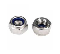 M5x0.5 M6x0.75 M8x1 M10x1 M12x1.25 M14 M16x1.5 A2 Stainless Steel Fine Thread Nylon Insert Lock Nut Hexagon Self-Locking Locknut(5pcs M10x1.25)