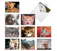 M6485OCB Smitten Kittens: 10 Assorted Blank All-Occasion Note Cards Featuring Adorable Cats and Kittens Putting on Their Biggest Smile, w/White Envelopes.