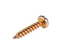 M6x30 Screw GOLDEN SPRINT 4758 3195910/200pcs KTS