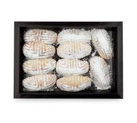 Maamoul Pistachio (575g) - Authentic Middle Eastern Cookies | Soft, Flaky Pastry Filled with Rich Pistachios | Perfect for Gifting, Celebrations, and Everyday Enjoyment | Indulge in Tradition!