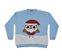 Maan Store New Robin Novelty Christmas Long Sleeve Jumper Unisex Mens Womens S to 3XL