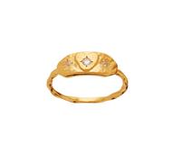 Maanesten Amarit Ring 4840A-49 - Woman - 316L Stainless Steel Gold 49