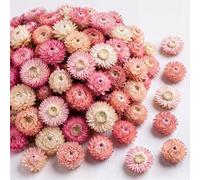 Maasechs 110 Dried Edible Flowers for Cocktail Cake Decoration, Pink | Natural Food Grade Real Strawflower, for Garnishing Baking, Cupcake Toppers Decor, Drink Botanicals, Tea Infusions, DIY Craft