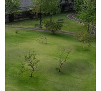 Mabe Fratti - Pies Sobre La Tierra [VINYL]