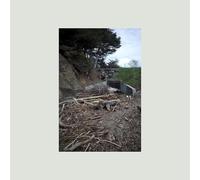 Mac Demarco - Five Easy Hot Dogs