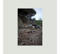 Mac DeMarco - Five Easy Hot Dogs