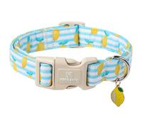 Maca Bates Summer Lemon Dog Collar Adjustable Durable Soft Collars for Dogs Yellow Lemons Birthday Gift for XS Small Medium Large XL for Girl Boy Male Female Puppy Cat Pets