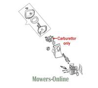 Macallister MHTP245-2 Mountfield Carburettor 123054036/0