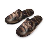 Macaque Monkeys Slippers Women Winter Warm Cotton Hotel Slippers Anti-Slip Bedroom Slip-Ons Shoes 40-41_(9-10)