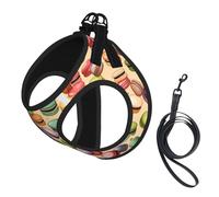 Macaron Biscuit Flavored Print Step in Dog Harness and Leash Set,Adjustable Reflective Harness for Small Dogs Cats