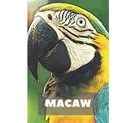 Macaw: Bird Macaw Notebook, Journal, Diary (110 Pages, Blank, 6 x 9)