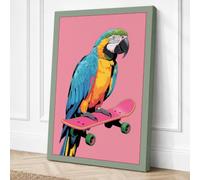 Macaw on Skateboard Modern Canvas Wall Art Print 24x16 Inch (61 x 41 cm)