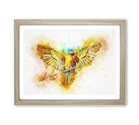 Macaw Parrot With Wide Wings In Abstract Modern Art Framed Print | A2 Oak Framed Wall Art | Ready to Hang | Abstract Animal Picture | Living Room Bedroom Lounge Office