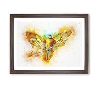 Macaw Parrot With Wide Wings In Abstract Modern Art Framed Print | A4 Walnut Framed Wall Art | Ready to Hang | Abstract Animal Picture | Living Room Bedroom Lounge Office