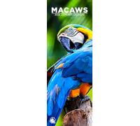 Macaws 2026 Wall Calendar, 12-Month Slim Format, Made in England