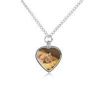 maccbn Cozy Cat Pet Urn Necklace for Ashes Waterproof Heart Memorial Pendant with Filling Kit 27.6" Adjustable Chain Cremation Keepsake Jewelry for Dog Cat Sympathy Gift for Pet Lovers