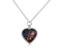 maccbn Eiffel Tower Fireworks Pet Urn Necklace for Ashes Waterproof Heart Memorial Pendant with Filling Kit 27.6" Adjustable Chain Cremation Keepsake Jewelry for Dog Cat Sympathy Gift for Pet Lovers