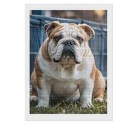 maccbn English Bulldogs 5D Diamond Painting Kit for Adults DIY Diamond Art Kits with Drill Tools Full Square Drill Gem Painting for Home Wall Decor Beginner-Friendly Craft Set Gift 12x16