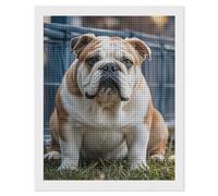 maccbn English Bulldogs 5D Diamond Painting Kit for Adults DIY Diamond Art Kits with Drill Tools Full Square Drill Gem Painting for Home Wall Decor Beginner-Friendly Craft Set Gift 16x20