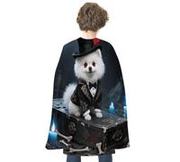 maccbn Halloween Cape Reversible Blue And Red Gothic Hat-wearing Dog Medieval Cloak Renaissance Cosplay Birthday Party Dress Up Costume