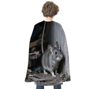 maccbn Halloween Cape Reversible Blue And Red Mouse Hiding in The Corner Medieval Cloak Renaissance Cosplay Birthday Party Dress Up Costume