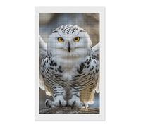 maccbn Snow Owl 5D Diamond Painting Kit for Adults DIY Diamond Art Kits with Drill Tools Full Square Drill Gem Painting for Home Wall Decor Beginner-Friendly Craft Set Gift 12x20