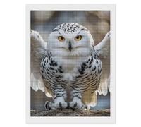 maccbn Snow Owl 5D Diamond Painting Kit for Adults DIY Diamond Art Kits with Drill Tools Full Square Drill Gem Painting for Home Wall Decor Beginner-Friendly Craft Set Gift 12x16