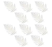 Machify 10 Pcs Preserved White Ferns 15.7-19.7 In, Dried Fern Stems For Diy Floral, Eternal Life Flower Decoration, Wreath And Flower Box