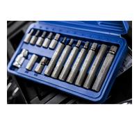 BlueSpot 15 Piece Hex Bit Socket Set H4 - H12 01513