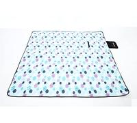 Machine Washable Extra Large Picnic & Beach Blanket Handy Mat Plus Thick Dual Layers Sandproof Waterproof Padding Portable for the Family, Friends, Kids, 79"x79" (Light Blue)