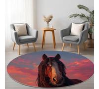 Machine Washable Living Room Round Area Rug 220 cm, Animals Brown Horse Sunset Printed Rectangle Rug Playroom Non-slip Carpet - Modern Soft Short Pile Circular Carpet Floor Bedroom Decorate