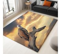 Machine Washable Rugs 60 x 120 cm, Non-Shedding Soft Short Pile Area Rug, Fluffy Non-Slip Carpet with Vulture Sky Sunset Pattern for Living Room Bedroom Office Dining Room Lounge, Yellow Gray