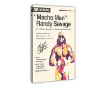 Macho Man Randy Savage Poster Canvas Poster Bedroom Decor Landscape Office Room Decor Gift 16x24inch(40x60cm)