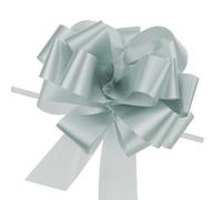 MACHSWON 20pcs 5 Inch Silver Pull Bow Big Gift Bows Solid Color Plastic Flower for Wedding Car Baskets Presents Christmas Party Decoration