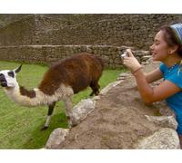 Machu Picchu / Petrified & Painted