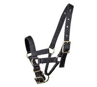Mackey Black Halter for Alpacas - Medium