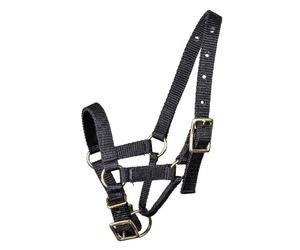 Mackey Black Halter for Alpacas - Small