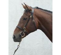 Mackey Classic In-Hand Bridle - Brown - Cob