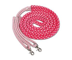 Mackey Lunging Aid - Red and Grey - Cob