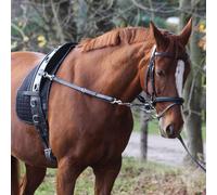 Mackey Lunging System - Black - Cob/Full