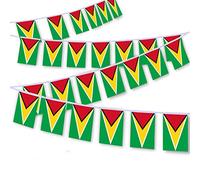 MacLand 30 PCS Guyana Flag String,32 FT Guyanese Bunting,Decoration Banner for Outdoor Indoor Patio Yard Decor
