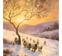 Macmillan Charity Christmas Cards Pack of 5 - Artistic Sheep Scene - Winter Glow Countryside Design by Daniel Rodgers - Made in the UK - Eco-Friendly