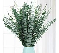 Macrak 9 Pcs Dried Eucalyptus Stems 17 inch Real Eucalyptus Branches for Wedding Home Decor DIY Artificial Plant Arrangement Shower Bathroom (Green)