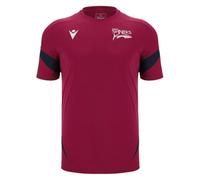 Macron Sale Sharks 2025/2026 Mens Training Poly T-Shirt Red (UK, Alpha, 3XL, Regular, Regular, Red)