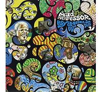 Mad Professor - Psychedelic Dub [VINYL]