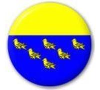 MadAboutFlags West Sussex England Flag 25mm Button Badge
