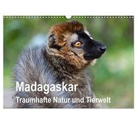 Madagascar. Fantastic nature and wildlife UK-Version (Wall Calendar 2026 DIN A3 Landscape), CALVENDO 12 Month Wall Calendar